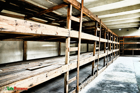 Theresienstadt, detail of the prisoner beds