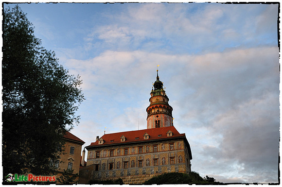 The tower
