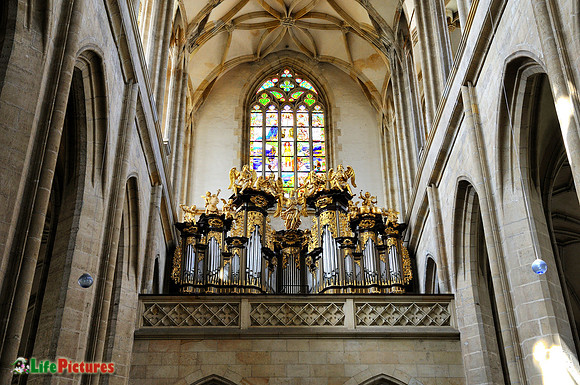 Saint Barbara Cathedral, organ