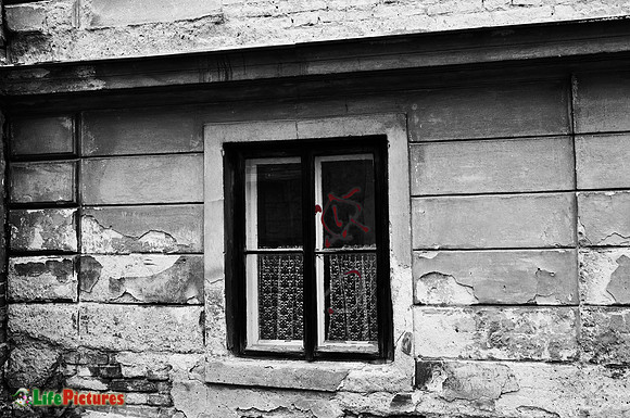 Window