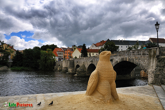 The sand eagle