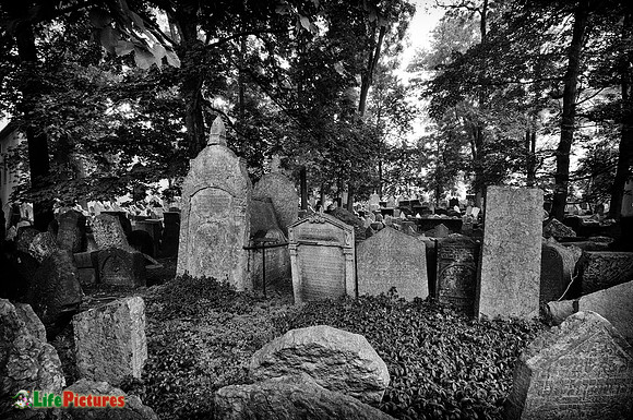 Old Jewish cemetery in Prague