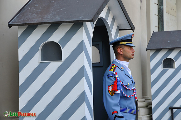 Czech guard
