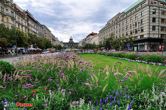Venceslao Square with flowers