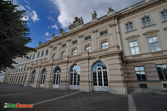 Albertina museum