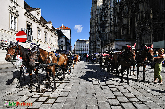 Waiting for the tourists in Stephanplatz