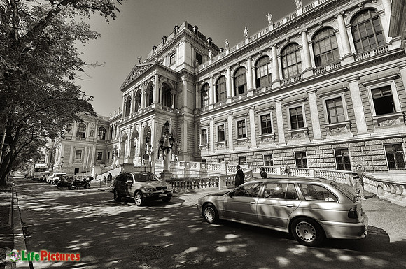 The University