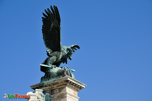 Buda Castle, the eagle