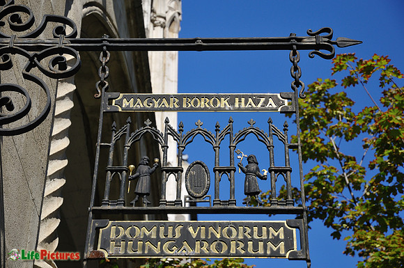 Domus Vinorum