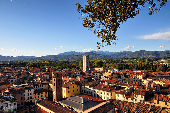 Lucca viewed from Guinigi Tower