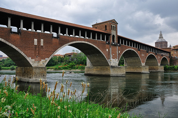 Pavia