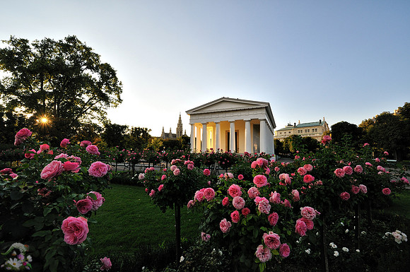 The temple of Teseo and the roses