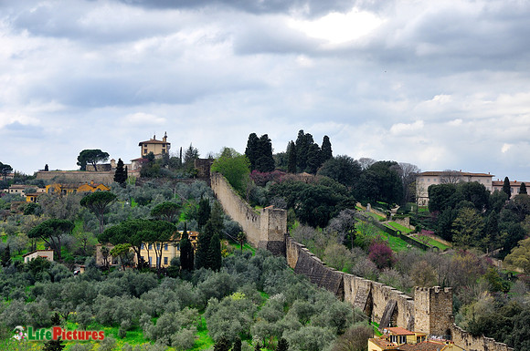 Hill in front of Piazzale Michelangelo