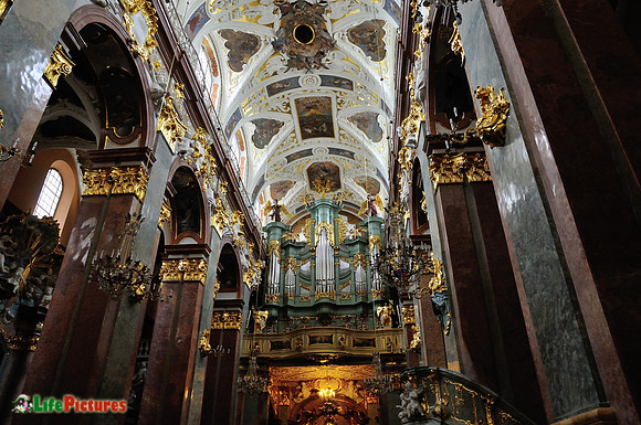 Organ