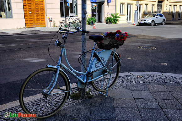 Bike and flowers