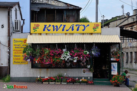 Florist