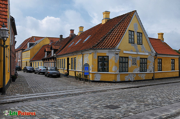 Ribe