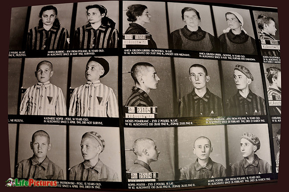 Kids and women prisoner at Auschwitz