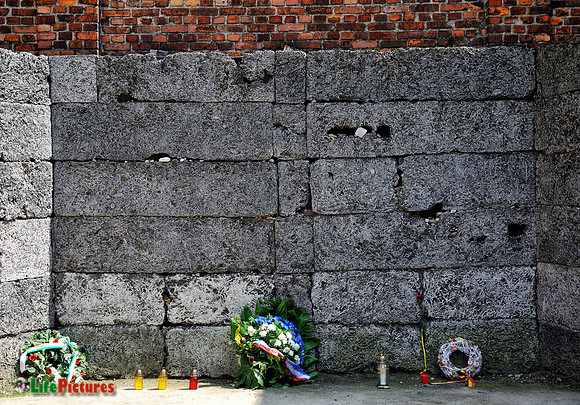In memoriam