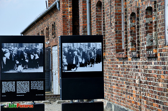 Pictures of prisoners