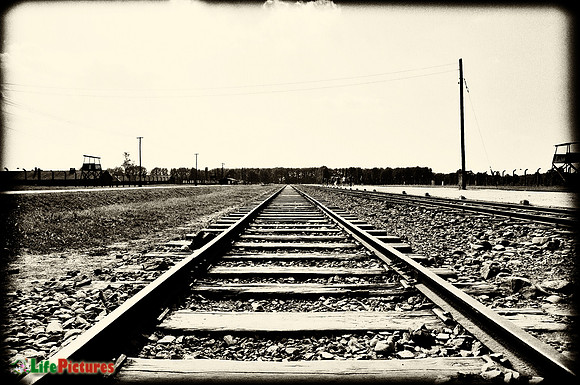 The last stop