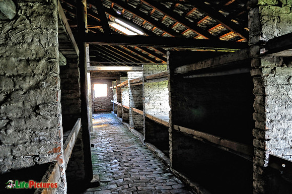 Cells at Auschwitz-Birkenau