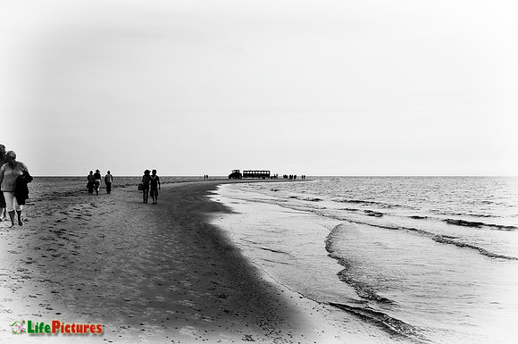 Grenen