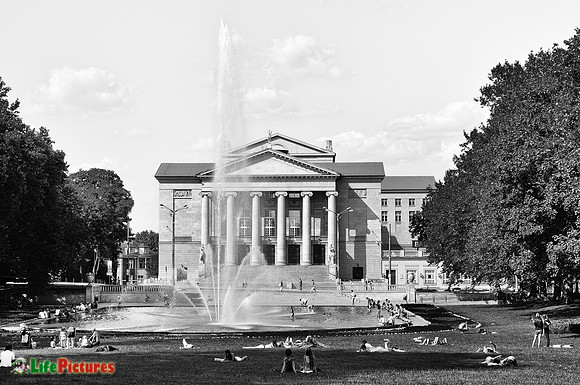 Poznan park in black and white