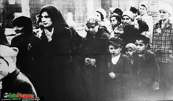 Deported from Hungary