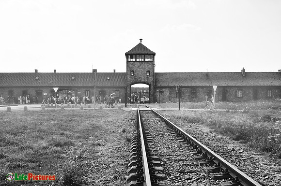 Auschwitz-Birkenau