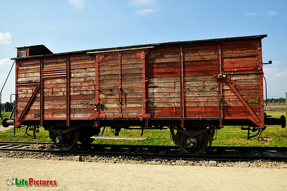 Wagon from old train to Auschwitz
