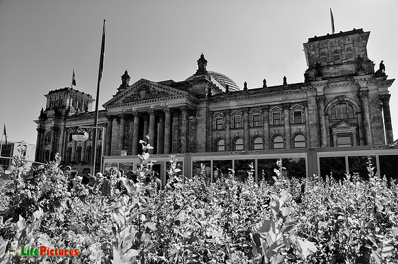 Berliner Parliament