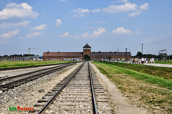 Arrival at Auschwitz-Birkenau
