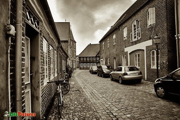 Ribe