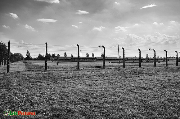 Blocks at Auschwitz-Birkenau