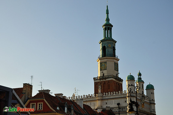 The town hall