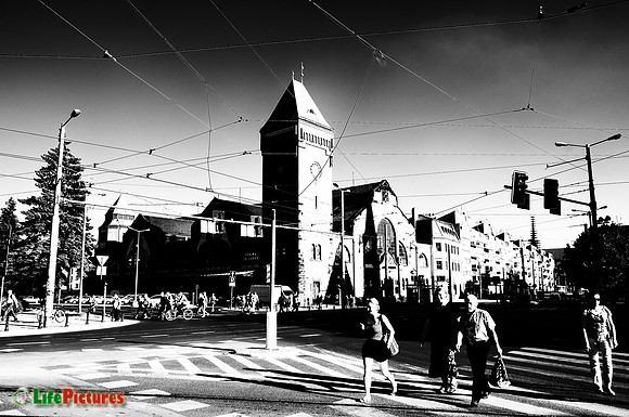 Crossing the street