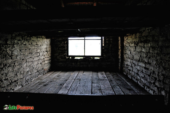 Cell at Auschwitz-Birkenau