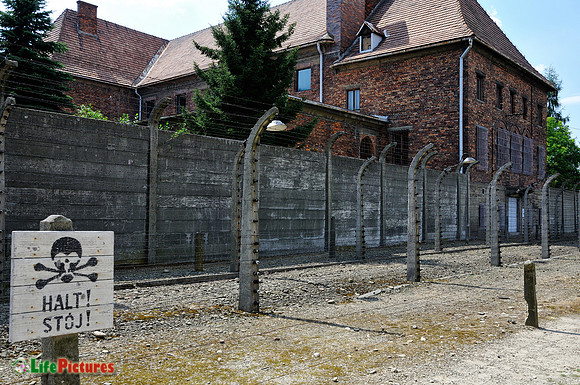Halt and barbed wire