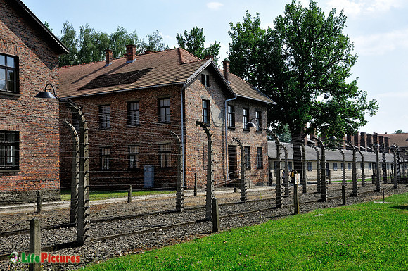 Auschwitz-Birkenau, blocks