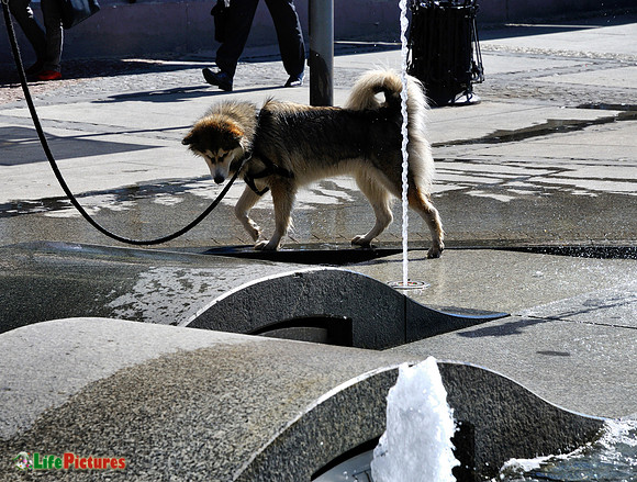 Waiting for the water to spring out