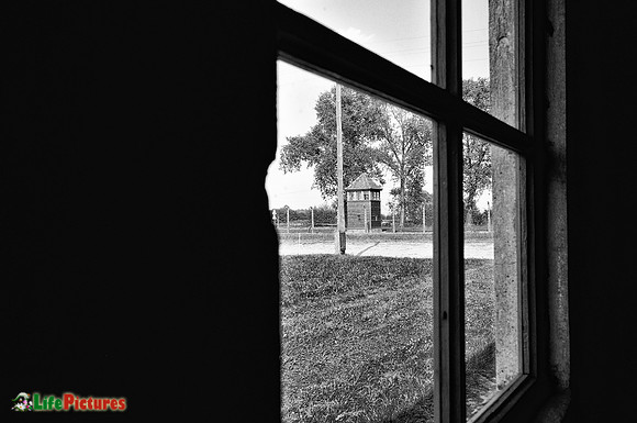 Watching you from every corner