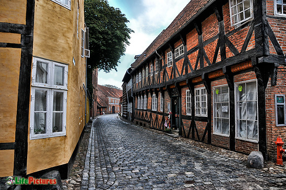Ribe