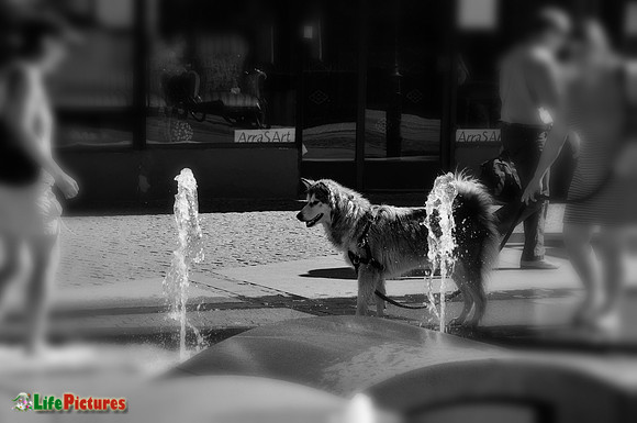 Let's play!!