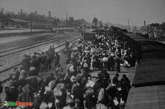 Prisoners get off the trains at Auschwitz Birkenau