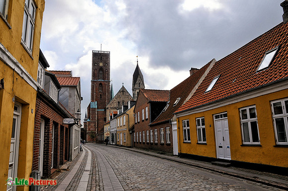 Ribe