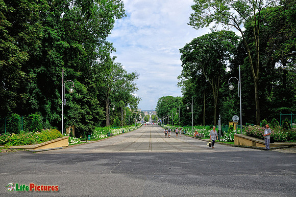 The long boulevard to the Cathedral