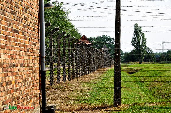 Guard towers beyond the barbed wire