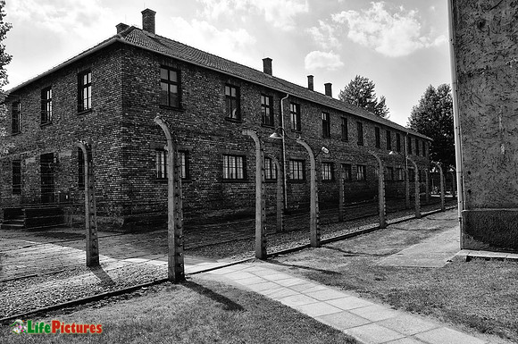 Blocks and barbed wire