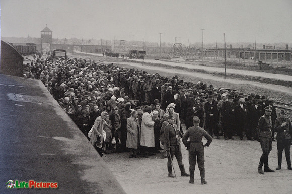 Arrival of prisoners at Auschwitz Birkenau and selection